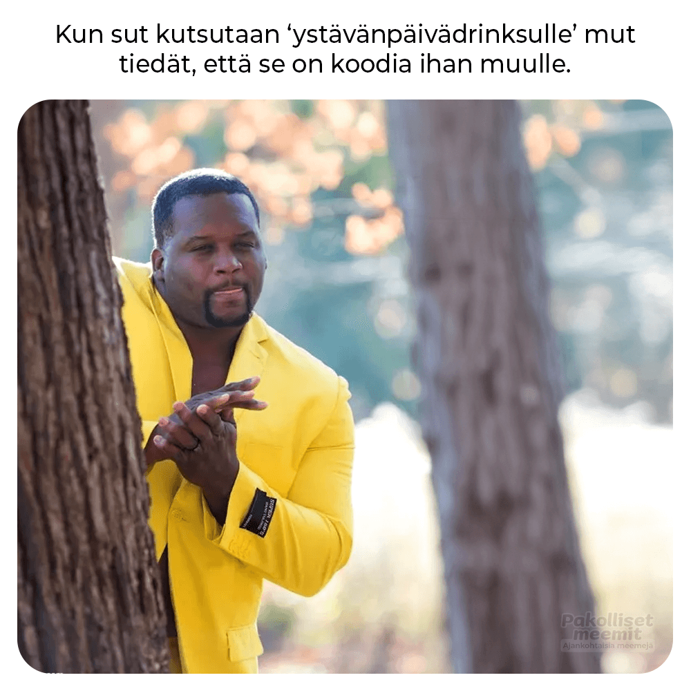 Ystävänpäivä_meemi_9
